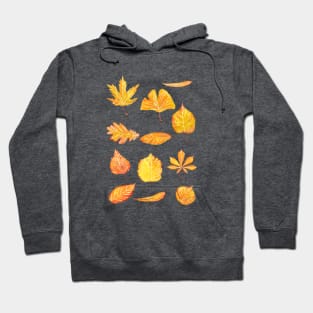 Yellow Autumn leaves collection watercolor Hoodie